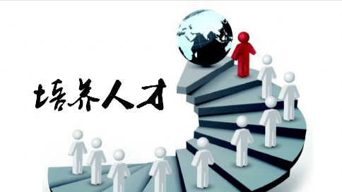 组织与人才(组织与人才方面的主要优势)-第2张图片-战略资本商业服务